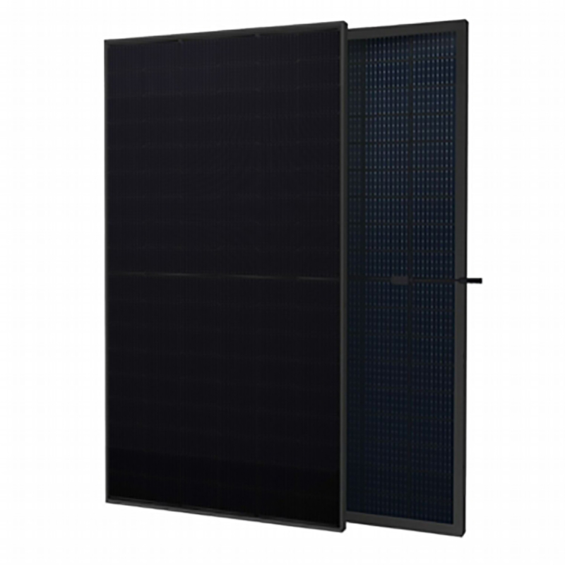 Panel Solar Bifacial 420W DHM54D30-TP